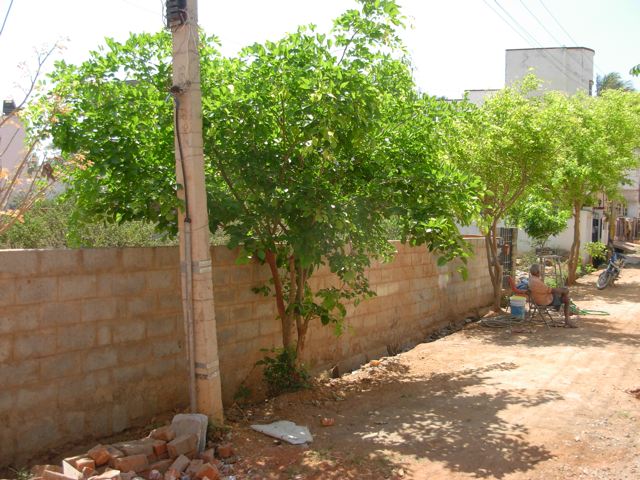 Bangalore Proposed Site